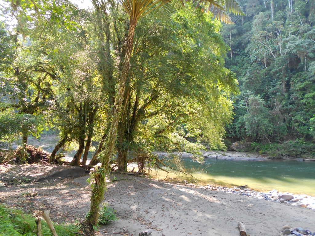 Playaselva Reserva Biologica Archidona Екстер'єр фото