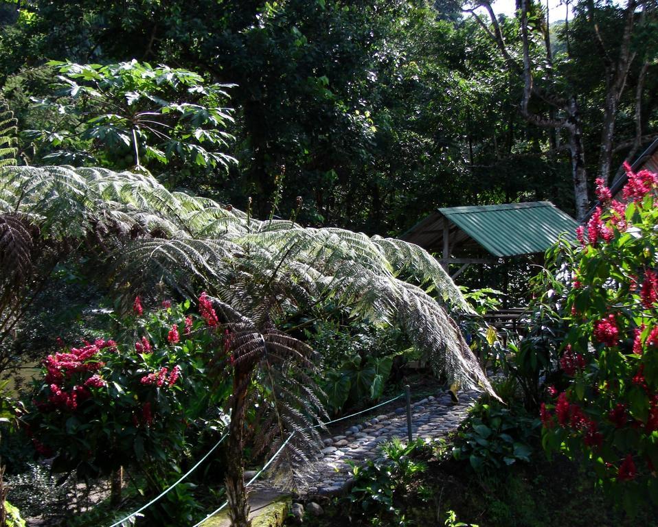 Playaselva Reserva Biologica Archidona Екстер'єр фото