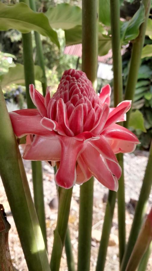 Playaselva Reserva Biologica Archidona Екстер'єр фото