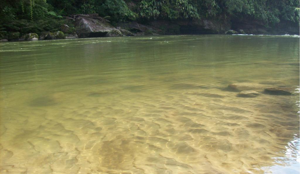 Вілла Playaselva Reserva Biologica Archidona Екстер'єр фото