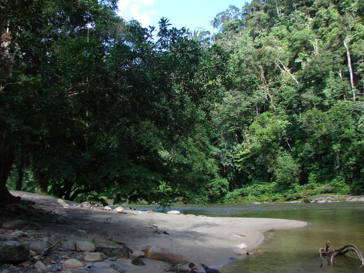 Playaselva Reserva Biologica Archidona Екстер'єр фото